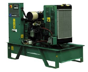 Cummins C15D5(o)