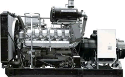 Дизельная электростанция АД-315 Номинальная мощность (длительная), кВт/кВА 315/394